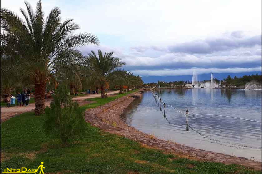 درباره شرکت ما